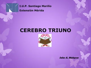 CEREBRO TRIUNO
I.U.P. Santiago Mariño
Extensión Mérida
Salas A. Maleyva
 