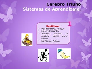 Cerebro Triuno
Sistemas de Aprendizaje.
Reptiliano:
- Mas Primitivo. Antiguo
- Menor desarrollo
- Acciona cuando se
realizan tareas como
comer.
- No Piensa. Actúa.