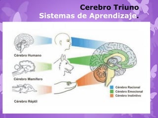 Cerebro Triuno
Sistemas de Aprendizaje.