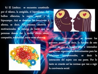 b) El Límbico: se encuentra constituido
por el tálamo, la amígdala, el hipotálamo, los
bulbos olfatorios, la región septal y el
hipocampo. Acá se destacan las emociones y
afectos, es decir, los procesos afectivos y
motivacionales. Se encarga de hacer que las
personas deseen dar y recibir afecto, amor,
compasión, solidaridad, entre otros afectos. c) El Neocórtex: acá se forman los
procesos sociales, es decir, la función de este
cerebro es que el hombre idee e internalice
estructuras organizativas determinantes para las
relaciones interpersonales, es decir la
interacción del sujeto con sus pares. Por lo
tanto se crearán así las normas que van a regir
la convivencia social.
 