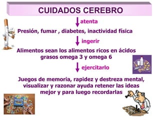 CUIDADOS CEREBRO
Presión, fumar , diabetes, inactividad física
atenta
ingerir
ejercitarlo
Alimentos sean los alimentos ricos en ácidos
grasos omega 3 y omega 6
Juegos de memoria, rapidez y destreza mental,
visualizar y razonar ayuda retener las ideas
mejor y para luego recordarlas
 