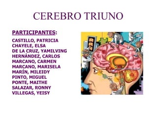 PARTICIPANTES:
CASTILLO, PATRICIA
CHAYELE, ELSA
DE LA CRUZ, YAMILVING
HERNÁNDEZ, CARLOS
MARCANO, CARMEN
MARCANO, MARISELA
MARÍN, MILEIDY
PINTO, MIGUEL
PONTE, MAITHE
SALAZAR, RONNY
VILLEGAS, YEISY
CEREBRO TRIUNO
 