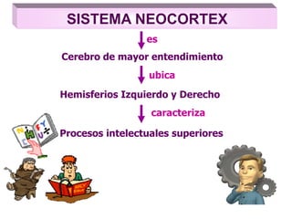 SISTEMA NEOCORTEX
Cerebro de mayor entendimiento
Procesos intelectuales superiores
es
caracteriza
Hemisferios Izquierdo y Derecho
ubica
 