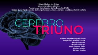 CEREBRO
TRIUNO
Universidad de Los Andes
Vicerrectorado Académico
Programa de Actualización de los Docentes (PAD)
Unidad Curricular: Desarrollo de Competencias Socioemocionales en el Docente Universitario
Profesor: Ángel Rodríguez Grado
Integrantes: Adriana Duque
Alfredo Corredor
Nathaly Guerrero
María Eugenia Delfín
Adelisa Angulo
Richard Rosales
 