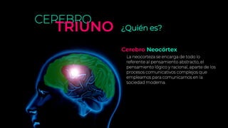 ¿Quién es?
CEREBRO
TRIUNO
La neocorteza se encarga de todo lo
referente al pensamiento abstracto, el
pensamiento lógico y racional, aparte de los
procesos comunicativos complejos que
empleamos para comunicarnos en la
sociedad moderna.
Cerebro Neocórtex
 