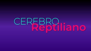 CEREBRO
Reptiliano
 