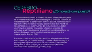 También conocido como el cerebro instintivo o cerebro básico, este
es el cerebro más primitivo de todos según la teoría de MacLean. El
cerebro reptiliano es considerado como la estructura ancestral que
regula nuestras funciones vitales y las conductas más instintivas
relacionadas con la supervivencia del individuo (comer, beber,
dormir) y de la especie (impulsos y relaciones sexuales). En
definitiva, según la psicología, la función del cerebro reptiliano es
actuar rápido y de manera instintiva para asegurar nuestra
supervivencia, (Pradas, 2018).
Encontramos el cerebro reptiliano en la zona baja del encéfalo: el
tronco cerebral y el prosencéfalo (1). El cerebro reptiliano según la
psicología es aquella zona en la que se controlan los niveles de
energía de nuestro cuerpo y se busca el equilibro, también
conocido como homeostasis, (Pradas, 2018).
CEREBRO
Reptiliano¿Cómo está compuesto?
 