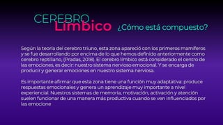 Según la teoría del cerebro triuno, esta zona apareció con los primeros mamíferos
y se fue desarrollando por encima de lo que hemos definido anteriormente como
cerebro reptiliano, (Pradas, 2018). El cerebro límbico está considerado el centro de
las emociones, es decir: nuestro sistema nervioso emocional. Y se encarga de
producir y generar emociones en nuestro sistema nerviosa.
Es importante afirmar que esta zona tiene una función muy adaptativa: produce
respuestas emocionales y genera un aprendizaje muy importante a nivel
experiencial. Nuestros sistemas de memoria, motivación, activación y atención
suelen funcionar de una manera más productiva cuando se ven influenciados por
las emocione
CEREBRO
Límbico ¿Cómo está compuesto?
 