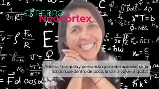 CEREBRO
Neocórtex
Adelisa, tranquila y pensando que debe aprovechar la
luz porque dentro de poco, la van a volver a quitar
 
