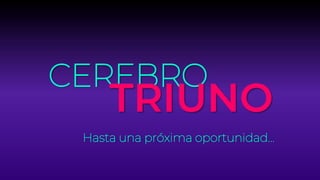 CEREBRO
TRIUNO
Hasta una próxima oportunidad…
 