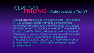 ¿Quién postuló la Teoría?
CEREBRO
TRIUNO
Según MacLean (1990), la Teoría del Cerebro Triuno se basa
en una estructura cerebral dividida en tres sistemas
cerebrales, interconectados entre ellos. Cada una de estos
sistemas poseen partes y funciones específicas que definen
la conducta del individuo de forma automática y natural.
Para MacLean nuestro cráneo no aloja un cerebro sino tres,
que operan como «tres ordenadores biológicos
interconectados, cada uno con su propia inteligencia, su
propia subjetividad, su propio sentido del tiempo y su
propia memoria»
 