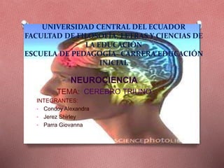 UNIVERSIDAD CENTRAL DEL ECUADOR
FACULTAD DE FILOSOFÍA, LETRAS Y CIENCIAS DE
LA EDUCACIÓN
ESCUELA DE PEDAGOGÍA- CARRERA EDUCACIÓN
INICIAL
NEUROCIENCIA
TEMA: CEREBRO TRIUNO
INTEGRANTES:
• Condoy Alexandra
• Jerez Shirley
• Parra Giovanna
 