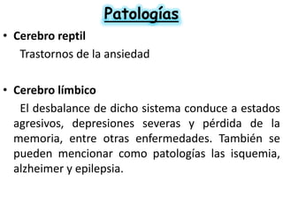 Patologías
• Cerebro reptil
Trastornos de la ansiedad
• Cerebro límbico
El desbalance de dicho sistema conduce a estados
agresivos, depresiones severas y pérdida de la
memoria, entre otras enfermedades. También se
pueden mencionar como patologías las isquemia,
alzheimer y epilepsia.

 