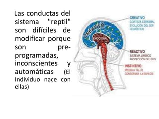 Las conductas del
sistema "reptil"
son difíciles de
modificar porque
son
preprogramadas,
inconscientes y
automáticas (El
Individuo nace con
ellas)

 