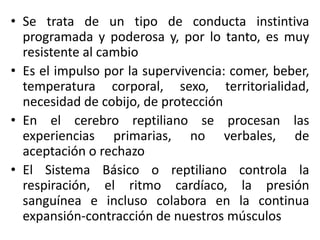 • Se trata de un tipo de conducta instintiva
programada y poderosa y, por lo tanto, es muy
resistente al cambio
• Es el impulso por la supervivencia: comer, beber,
temperatura corporal, sexo, territorialidad,
necesidad de cobijo, de protección
• En el cerebro reptiliano se procesan las
experiencias primarias, no verbales, de
aceptación o rechazo
• El Sistema Básico o reptiliano controla la
respiración, el ritmo cardíaco, la presión
sanguínea e incluso colabora en la continua
expansión-contracción de nuestros músculos

 