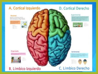 Cerebro triuno 