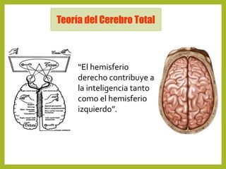 Cerebro triuno 