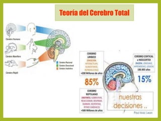 Cerebro triuno 