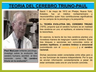 Cerebro triuno 