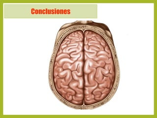 Cerebro triuno 