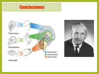 Cerebro triuno 