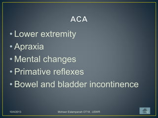 • Lower extremity
• Apraxia
• Mental changes
• Primative reflexes
• Bowel and bladder incontinence
10/4/2013 Mohsen Eslampanah OT18 , USWR 12
 