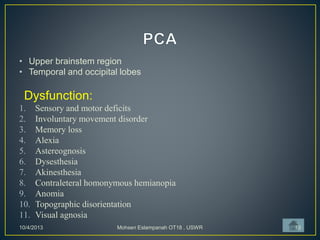 • Upper brainstem region
• Temporal and occipital lobes
Dysfunction:
1. Sensory and motor deficits
2. Involuntary movement disorder
3. Memory loss
4. Alexia
5. Astereognosis
6. Dysesthesia
7. Akinesthesia
8. Contraleteral homonymous hemianopia
9. Anomia
10. Topographic disorientation
11. Visual agnosia
10/4/2013 Mohsen Eslampanah OT18 , USWR 13
 