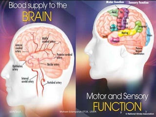 10/4/2013 Mohsen Eslampanah OT18 , USWR 3
 