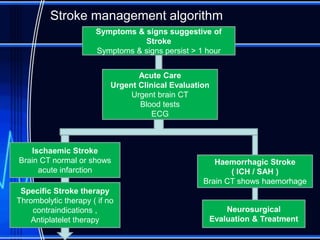 Unc Stroke Algorithm Cerebrovascular accident | PPTX