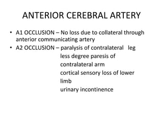 ANTERIOR CEREBRAL ARTERY
• A1 OCCLUSION – No loss due to collateral through
anterior communicating artery
• A2 OCCLUSION – paralysis of contralateral leg
less degree paresis of
contralateral arm
cortical sensory loss of lower
limb
urinary incontinence
 