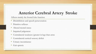 Anterior Cerebral Artery Stroke
Affects mainly the frontal lobe function
• Disinhibition and speech perseveration
• Primitive reflexes
• Altered mental status
• Impaired judgement
• Contralateral weakness (greater in legs than arms
• Contralateral cortical sensory deficit
• Urinary incontinence
• Gait apraxia
 