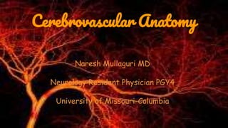Cerebrovascular Anatomy
Naresh Mullaguri MD
Neurology Resident Physician PGY4
University of Missouri-Columbia
 