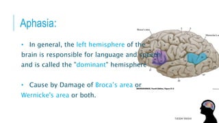 Aphasia:
• In general, the left hemisphere of the
brain is responsible for language and speech
and is called the "dominant" hemisphere
• Cause by Damage of Broca’s area or
Wernicke's area or both.
TUESDAY 8/9/2016
 