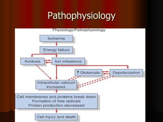Pathophysiology 