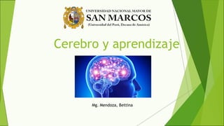 Cerebro y aprendizaje
Mg. Mendoza, Bettina
 