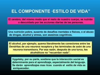 EL COMPONENTE ·ESTILO DE VIDA”
El cerebro, del mismo modo que el resto de nuestro cuerpo, es nutrido
        o descuidado por las acciones diarias de las personas.


Una nutrición pobre, ausente de desafíos mentales o físicos, o el abuso
de drogas, alcohol y stress, son asesinos cognitivos.


El alcohol, por ejemplo, quema literalmente las conexiones entre las
Dendritas de una neurona receptora y los terminales de axón de una
    neurona transmisora. Por esa razón, después de una turca, los
                   alcohólicos no “recuerdan nada”.

   Vygotsky, por su parte, sostiene que la interacción social es
   determinante para el aprendizaje, especialmente del lenguaje.
   Se darán aprendizajes mas ricos cuando el estilo de vida es
   enriquecedor.
 