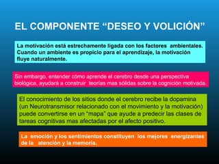 EL COMPONENTE “DESEO Y VOLICIÓN”
La motivación está estrechamente ligada con los factores ambientales.
Cuando un ambiente es propicio para el aprendizaje, la motivación
fluye naturalmente.


Sin embargo, entender cómo aprende el cerebro desde una perspectiva
biológica, ayudará a construir teorías mas sólidas sobre la cognición motivada.

 El conocimiento de los sitios donde el cerebro recibe la dopamina
 (un Neurotransmisor relacionado con el movimiento y la motivación)
 puede convertirse en un “mapa” que ayude a predecir las clases de
 tareas cognitivas mas afectadas por el afecto positivo.

  La emoción y los sentimientos constituyen los mejores energizantes
  de la atención y la memoria.
 