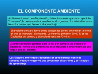 EL COMPONENTE AMBIENTE
Ambientes ricos en desafío y tensión, determinan mejor que otros: apacibles
Y “serenos”, la presencia de adrenalina en el organismo. La adrenalina es un
Neurotransmisor que favorece el aprendizaje.

  El ambiente afecta la forma como trabajan los genes determinan la forma
  en que se interpreta el ambiente. La herencia provee el 30-60 % de los
  Cableados del cerebro y el ambiente restante 70-40 %.

 La predisposición genética para la ira, por ejemplo, no podría ser
 disparada nunca si la persona no está expuesta a circunstancias que
 hagan que se dispare.


Los factores ambientales deberían ser considerados con más
seriedad cuando tengamos que programar situaciones y estrategias
de aprendizaje.
 