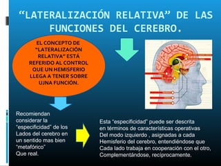 “LATERALIZACIÓN RELATIVA” DE LAS
      FUNCIONES DEL CEREBRO.
       EL CONCEPTO DE
       “LATERALIZACIÓN
        RELATIVA” ESTÁ
     REFERIDO AL CONTROL
      QUE UN HEMISFERIO
     LLEGA A TENER SOBRE
        UJNA FUNCIÓN.




Recomiendan
considerar la              Esta “especificidad” puede ser descrita
“especificidad” de los     en términos de características operativas
Lados del cerebro en       Del modo izquierdo , asignadas a cada
un sentido mas bien        Hemisferio del cerebro, entendiéndose que
“metafórico”               Cada lado trabaja en cooperación con el otro,
Que real.                  Complementándose, recíprocamente.
 