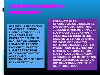 ¿QUÉ PASA DURANTE LA
MEDITACIÓN?
                             EN LA ZONA DE LA
                              CIRCUNVOLUCIÓN CINGULAR, SE
DURANTE LA MEDITACIÓN         ENCUENTRA UNA REGIÓN QUE
SE ACTIVA EL SISTEMA          JUEGA UN IMPORTANTE PAPEL EN
LÍMBICO, SITUADO EN LA        LOS PROCESOS COGNITIVOS Y
ZONA CENTRAL DEL              EMOCIONALES, COMO EN LOS
CEREBRO Y DEL BULBO           CAMBIOS DE ESTADO DE ÁNIMO.
RAQUÍDEO (UN ANTIGUO          POR ELLO ESTA ZONA ACC
LEGADO DEL PROCESO            (ANTERIOR CINGULATE CORTEX)
EVOLUTIVO). EN ESTOS          PRESENTA EN EL ESCÁNER UNA
LUGARES SE FORMAN             SINGULAR ACTIVIDAD DURANTE
NUESTRAS RESPUESTAS           LOS ESTADOS DE MEDITACIÓN.
AGRESIVAS Y                   ALGUNOS LO HAN INTERPRETADO
EMOCIONALES Y SE DIRIGE       COMO UNA ZONA DE VIGILANCIA,
EL SN VEGETATIVO.             UNA SEÑAL DE LA "APERTURA
                              DEL "TERCER OJO".
 
