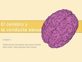 El cerebro y
la conducta sexual
Unidad 4
Collins Karen Hernández Iván Leyva Victoria
Mora Víctor Nava Daniela Tello Juliane
 