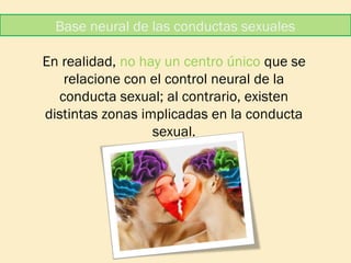 Base neural de las conductas sexuales
En realidad, no hay un centro único que se
relacione con el control neural de la
conducta sexual; al contrario, existen
distintas zonas implicadas en la conducta
sexual.

 
