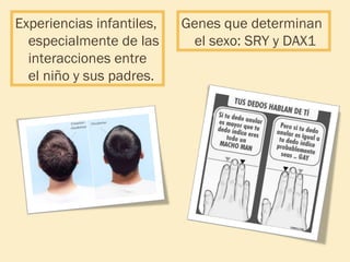Experiencias infantiles,
especialmente de las
interacciones entre
el niño y sus padres.

Genes que determinan
el sexo: SRY y DAX1

 