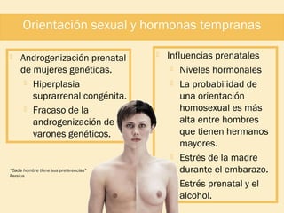 Orientación sexual y hormonas tempranas


Androgenización prenatal
de mujeres genéticas.
 Hiperplasia
suprarrenal congénita.
 Fracaso de la
androgenización de
varones genéticos.

“Cada hombre tiene sus preferencias”
Persius 



Influencias prenatales
 Niveles hormonales
 La probabilidad de
una orientación
homosexual es más
alta entre hombres
que tienen hermanos
mayores.
 Estrés de la madre
durante el embarazo.
 Estrés prenatal y el
alcohol.

 