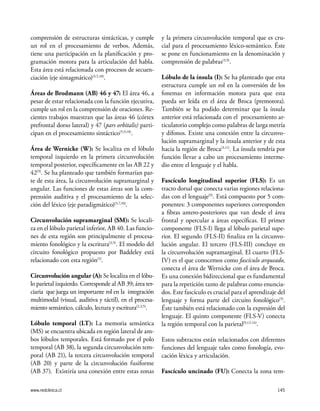 www.redclinica.cl 145
comprensión de estructuras sintácticas, y cumple
un rol en el procesamiento de verbos. Además,
tiene una participación en la planificación y pro-
gramación motora para la articulación del habla.
Esta área está relacionada con procesos de secuen-
ciación (eje sintagmático)(3,5,10)
.
Áreas de Brodmann (AB) 46 y 47: El área 46, a
pesar de estar relacionada con la función ejecutiva,
cumple un rol en la comprensión de oraciones. Re-
cientes trabajos muestran que las áreas 46 (córtex
prefrontal dorso lateral) y 47 (pars orbitalis) parti-
cipan en el procesamiento sintáctico(5,9,10)
.
Área de Wernicke (W): Se localiza en el lóbulo
temporal izquierdo en la primera circunvolución
temporal posterior, específicamente en las AB 22 y
42(9)
. Se ha planteado que también formarían par-
te de esta área, la circunvolución supramarginal y
angular. Las funciones de estas áreas son la com-
prensión auditiva y el procesamiento de la selec-
ción del léxico (eje paradigmático)(3,7,10)
.
Circunvolución supramarginal (SM): Se locali-
za en el lóbulo parietal inferior, AB 40. Las funcio-
nes de esta región son principalmente el procesa-
miento fonológico y la escritura(3,9)
. El modelo del
circuito fonológico propuesto por Baddeley está
relacionado con esta región(5)
.
Circunvolución angular (A): Se localiza en el lóbu-
lo parietal izquierdo. Corresponde al AB 39; área ter-
ciaria que juega un importante rol en la integración
multimodal (visual, auditiva y táctil), en el procesa-
miento semántico, cálculo, lectura y escritura(2,3,5)
.
Lóbulo temporal (LT): La memoria semántica
(MS) se encuentra ubicada en región lateral de am-
bos lóbulos temporales. Está formado por el polo
temporal (AB 38), la segunda circunvolución tem-
poral (AB 21), la tercera circunvolución temporal
(AB 20) y parte de la circunvolución fusiforme
(AB 37). Existiría una conexión entre estas zonas
y la primera circunvolución temporal que es cru-
cial para el procesamiento léxico-semántico. Éste
se pone en funcionamiento en la denominación y
comprensión de palabras(3,9)
.
Lóbulo de la ínsula (I): Se ha planteado que esta
estructura cumple un rol en la conversión de los
fonemas en información motora para que esta
pueda ser leída en el área de Broca (premotora).
También se ha podido determinar que la ínsula
anterior está relacionada con el procesamiento ar-
ticulatorio complejo como palabras de larga metría
y dífonos. Existe una conexión entre la circunvo-
lución supramarginal y la ínsula anterior y de esta
hacia la región de Broca(3,11)
. La ínsula tendría por
función llevar a cabo un procesamiento interme-
dio entre el lenguaje y el habla.
Fascículo longitudinal superior (FLS): Es un
tracto dorsal que conecta varias regiones relaciona-
das con el lenguaje(9)
. Está compuesto por 5 com-
ponentes: 3 componentes superiores corresponden
a fibras antero-posteriores que van desde el área
frontal y opercular a áreas específicas. El primer
componente (FLS-I) llega al lóbulo parietal supe-
rior. El segundo (FLS-II) finaliza en la circunvo-
lución angular. El tercero (FLS-III) concluye en
la circunvolución supramarginal. El cuarto (FLS-
IV) es el que conocemos como fascículo arqueado,
conecta el área de Wernicke con el área de Broca.
Es una conexión bidireccional que es fundamental
para la repetición tanto de palabras como enuncia-
dos. Este fascículo es crucial para el aprendizaje del
lenguaje y forma parte del circuito fonológico(5)
.
Éste también está relacionado con la expresión del
lenguaje. El quinto componente (FLS-V) conecta
la región temporal con la parietal(9,12-14)
.
Estos subtractos están relacionados con diferentes
funciones del lenguaje tales como fonología, evo-
cación léxica y articulación.
Fascículo uncinado (FU): Conecta la zona tem-
 