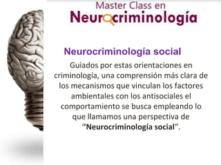 cerebro y violencia neurocriminologia.docx