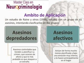 cerebro y violencia neurocriminologia.docx