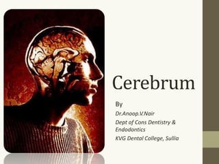 Cerebrum
By
Dr.Anoop.V.Nair
Dept of Cons Dentistry &
Endodontics
KVG Dental College, Sullia
 