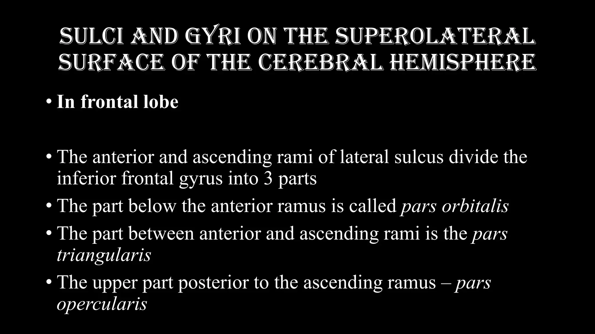 Cerebrum | PDF