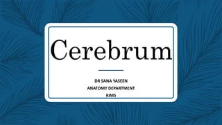 Cerebrum
DR SANA YASEEN
ANATOMY DEPARTMENT
KIMS
 